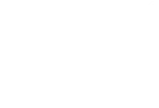 SAVIO Logo